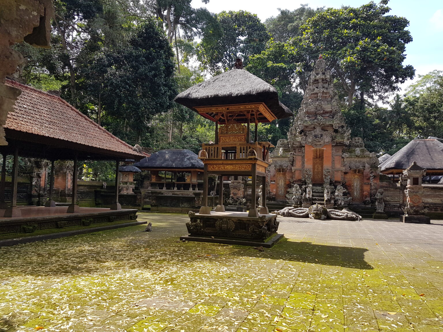 Bosque De Monos En Ubud Bosque Sagrado De Monos Bali Info