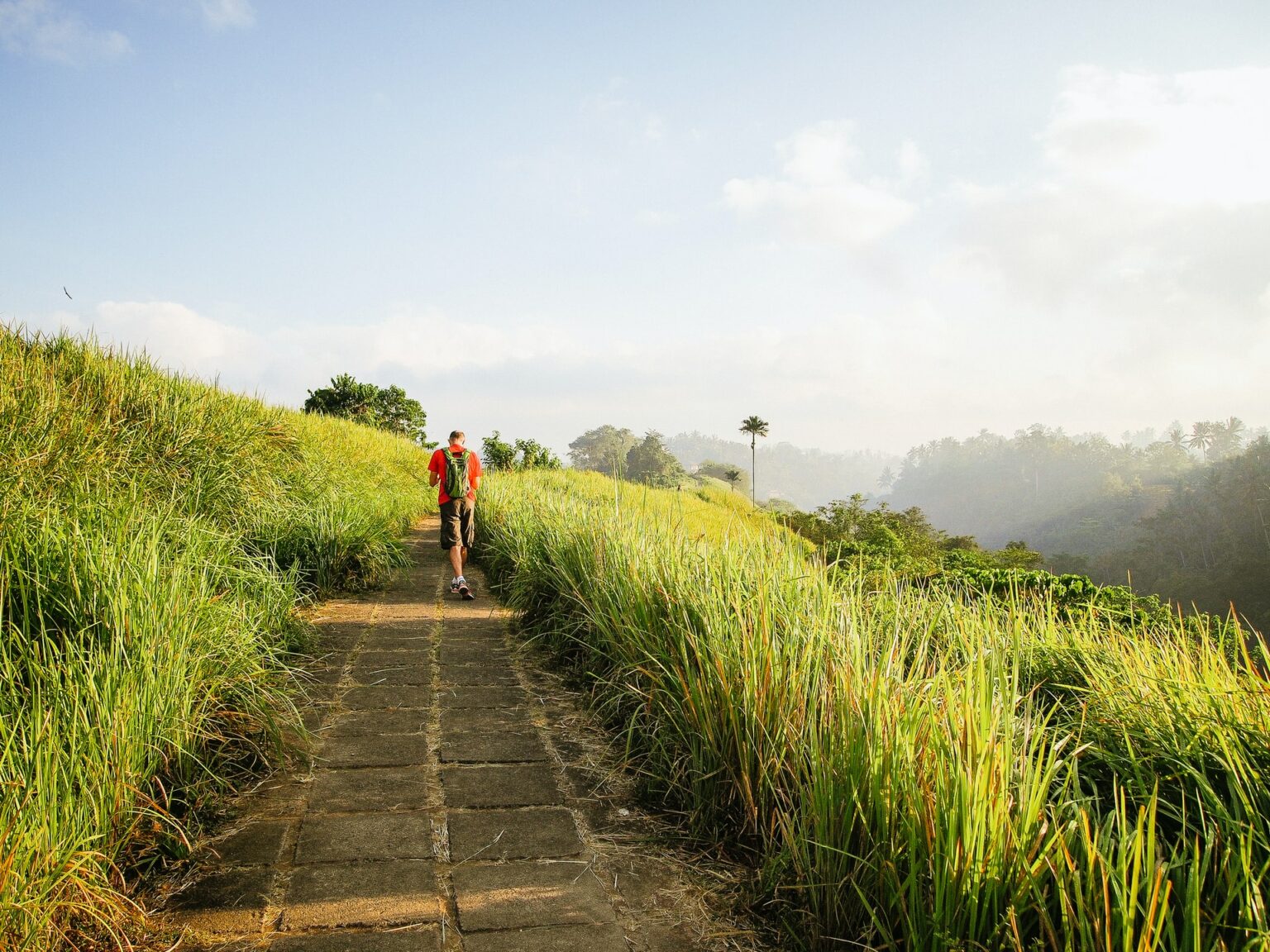 Campuhan Ridge Walk As A Place Of Interest In Ubud