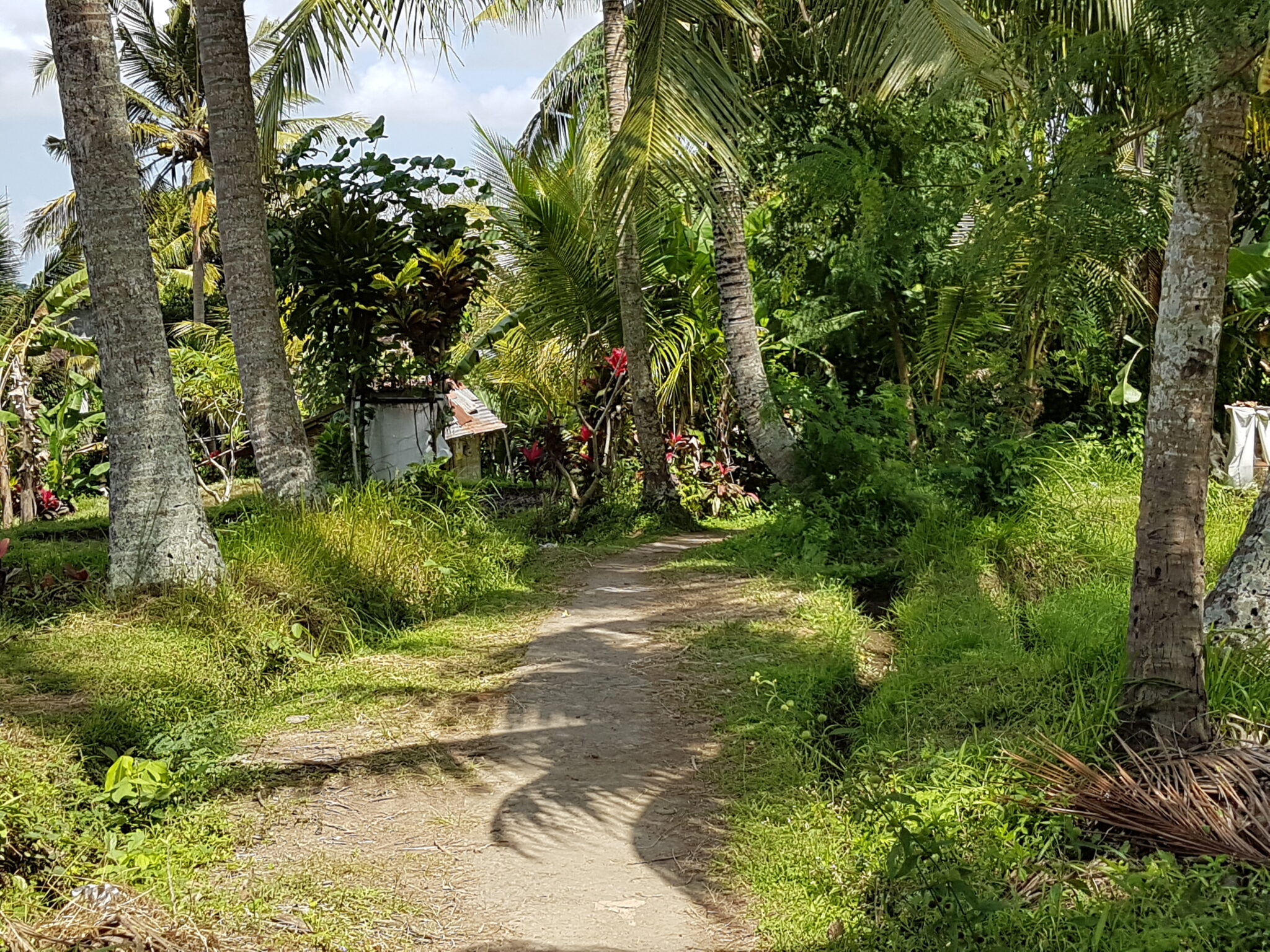 Tannah Lot - The most beautiful temple | Bali.info