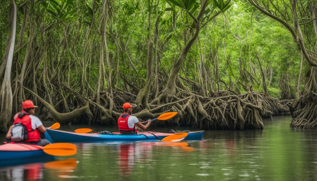 Ökotourismus in den Mangrovenwäldern Bali